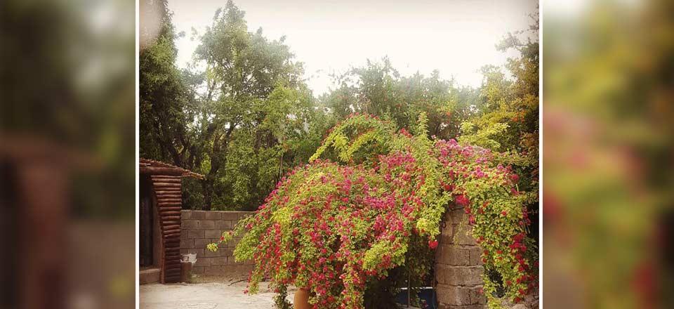 اقامتگاه بوم گردی اناران در ارزوئیه