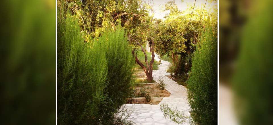 اقامتگاه بوم گردی اناران در ارزوئیه