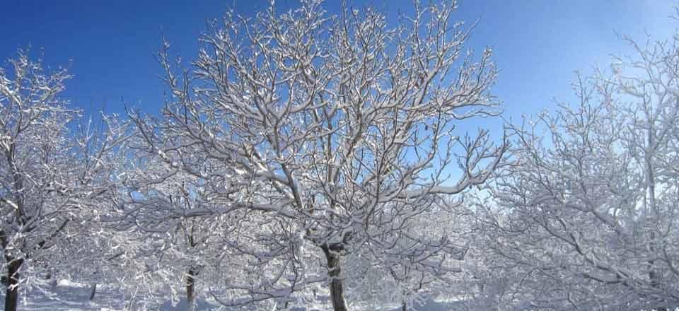 اقامتگاه بوم گردی امیر عطاخان در سمیرم