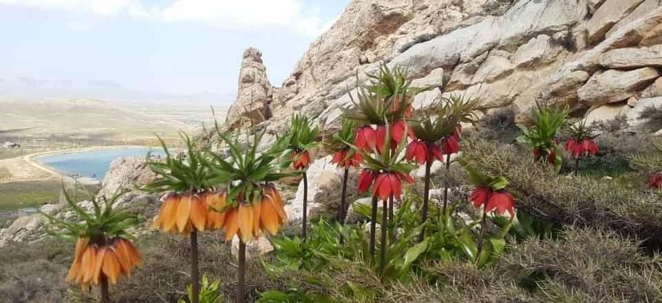 اقامتگاه بوم گردی امیر عطاخان در سمیرم