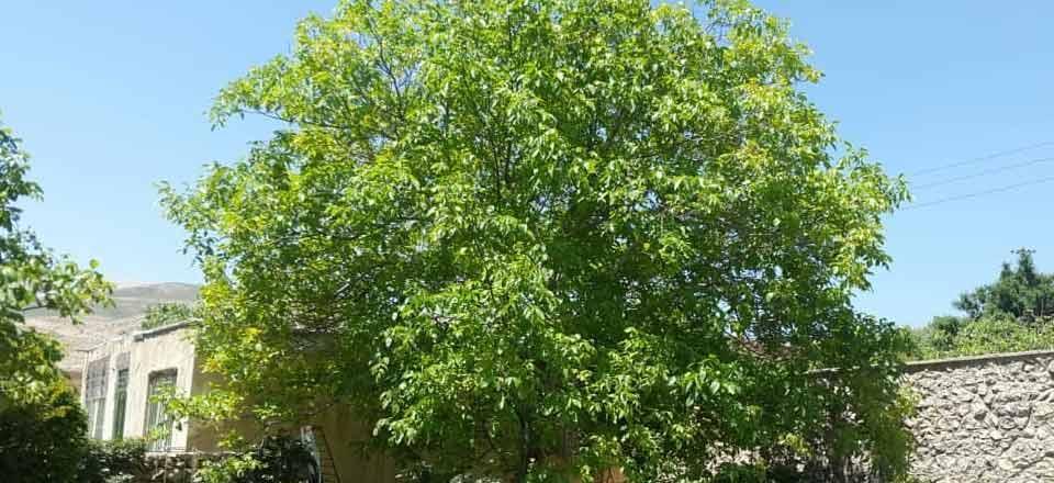 اقامتگاه بوم گردی امیر عطاخان در سمیرم