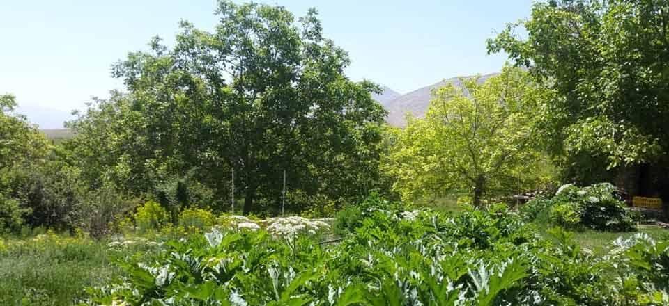 اقامتگاه بوم گردی امیر عطاخان در سمیرم