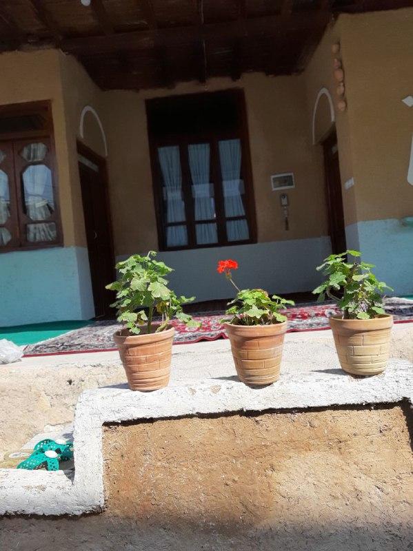 اقامتگاه بوم گردی عمارت مادری در بهشهر