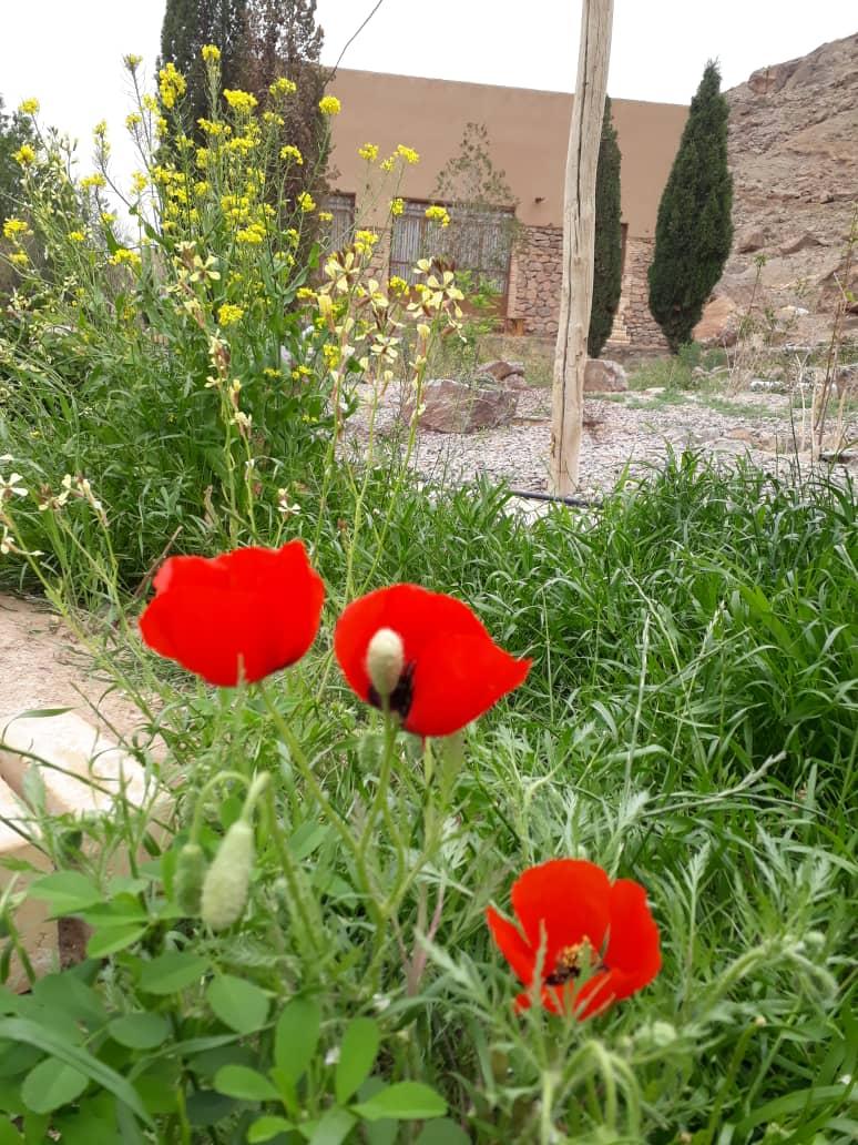 اقامتگاه بوم گردی دهکده فروردین در یزد