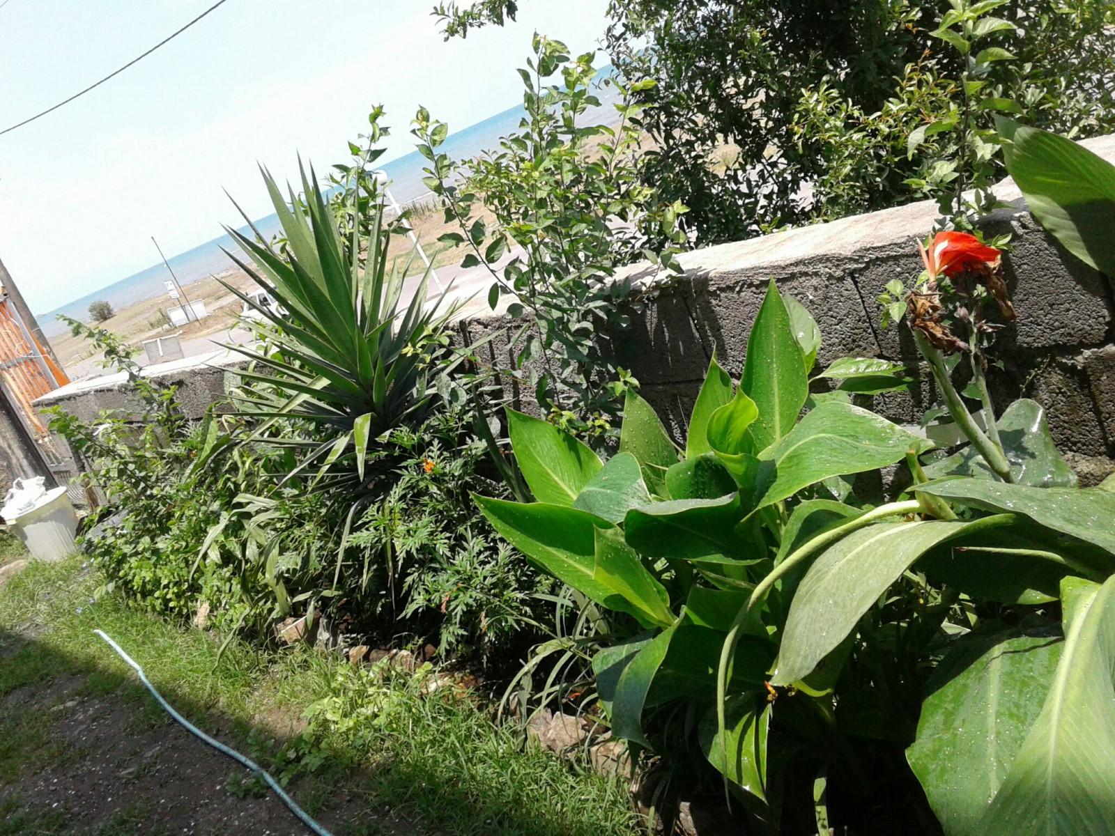 اجاره سوئیت مبله رضوانشهر تکخواب