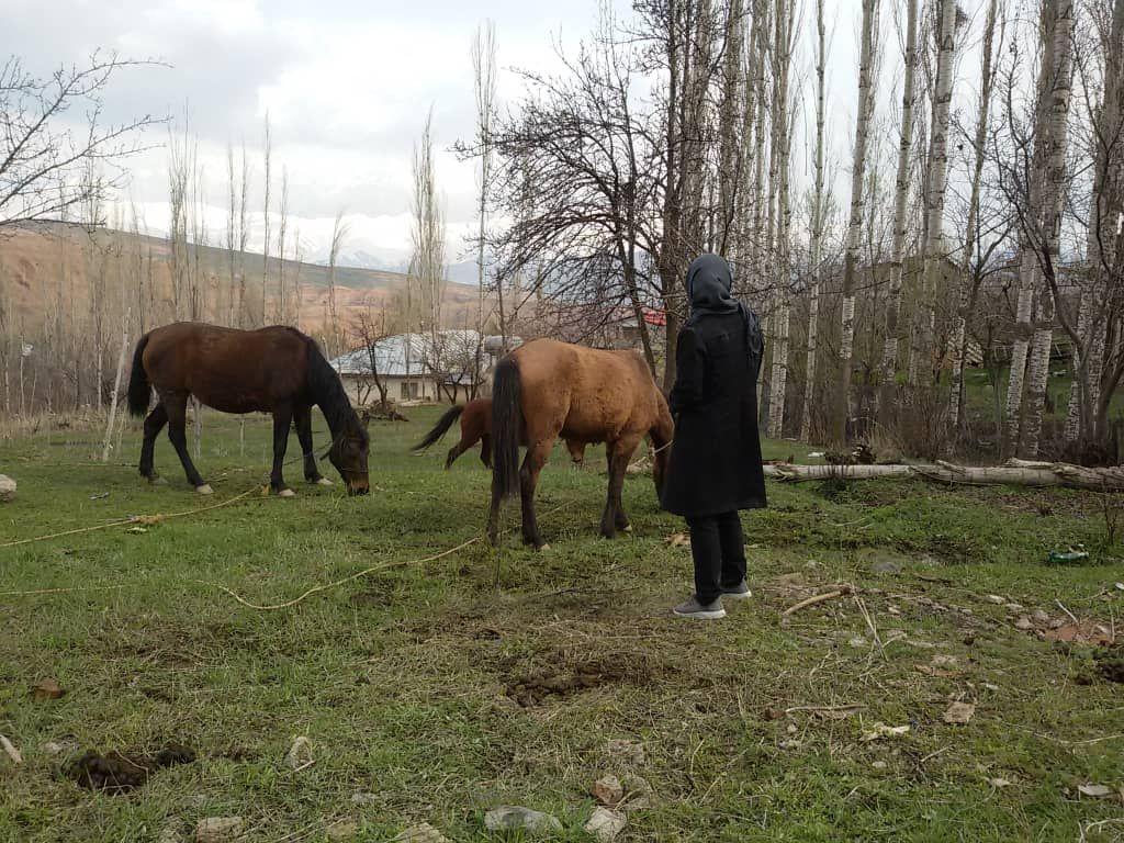 اجاره خانه 2طبقه3خوابه ویلایی در طالقان
