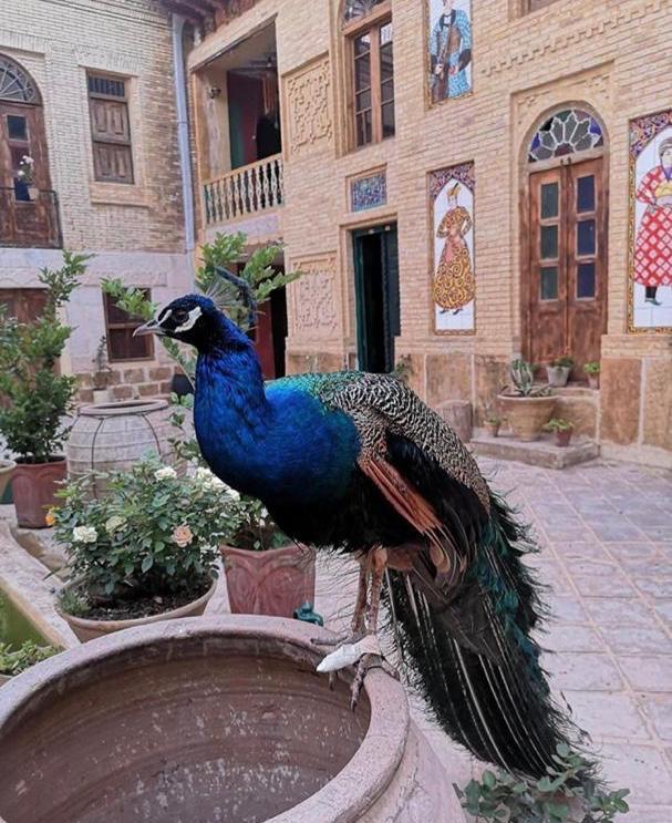 اقامتگاه بوم گردی دولتسرا معصومه سلطان شیراز