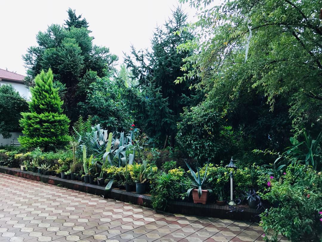 ویلای اجاره ای استخردار در نمک آبرود