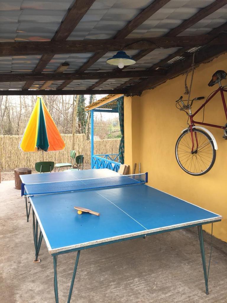 رزرو اقامتگاه بوم گردی امی وی جا در رشت