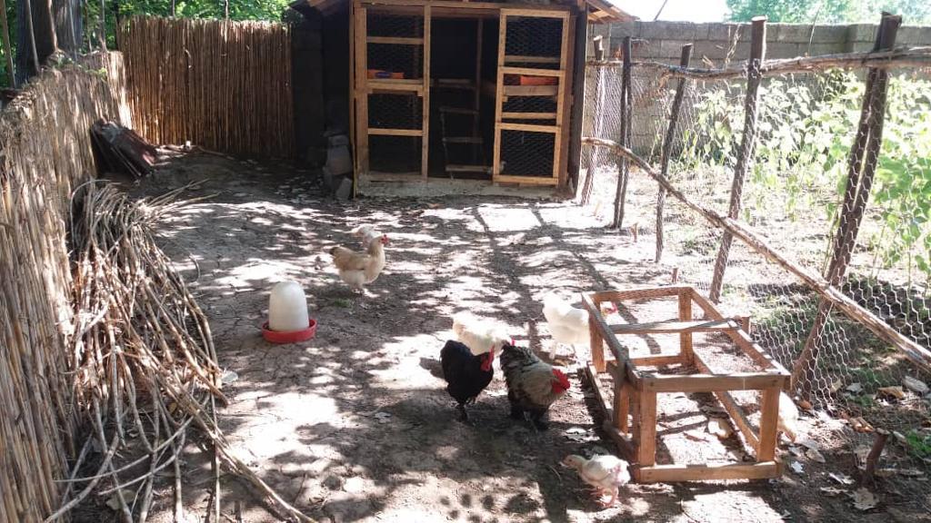 رزرو اقامتگاه بوم گردی امی وی جا در رشت