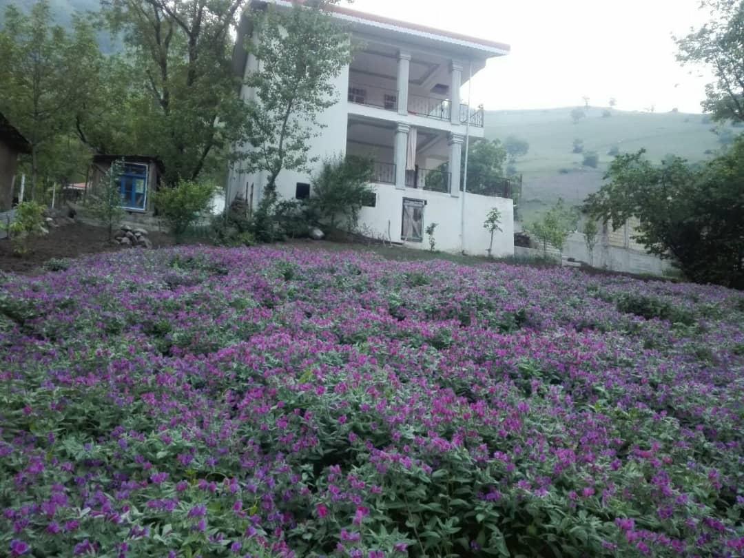 اجاره روزانه ویلا در گردنه حیران