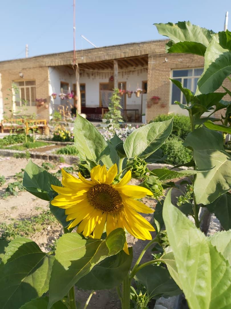 اجاره اقامتگاه بوم گردی پلاسجان در فریدن