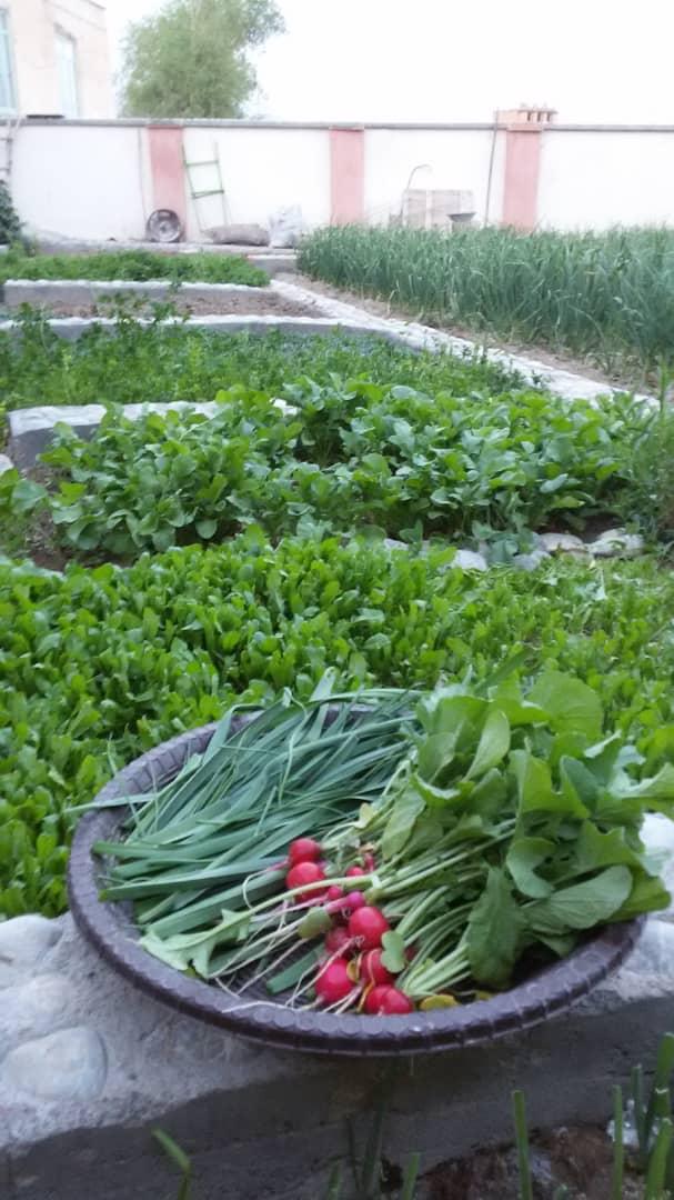 اجاره اقامتگاه بوم گردی پلاسجان در فریدن