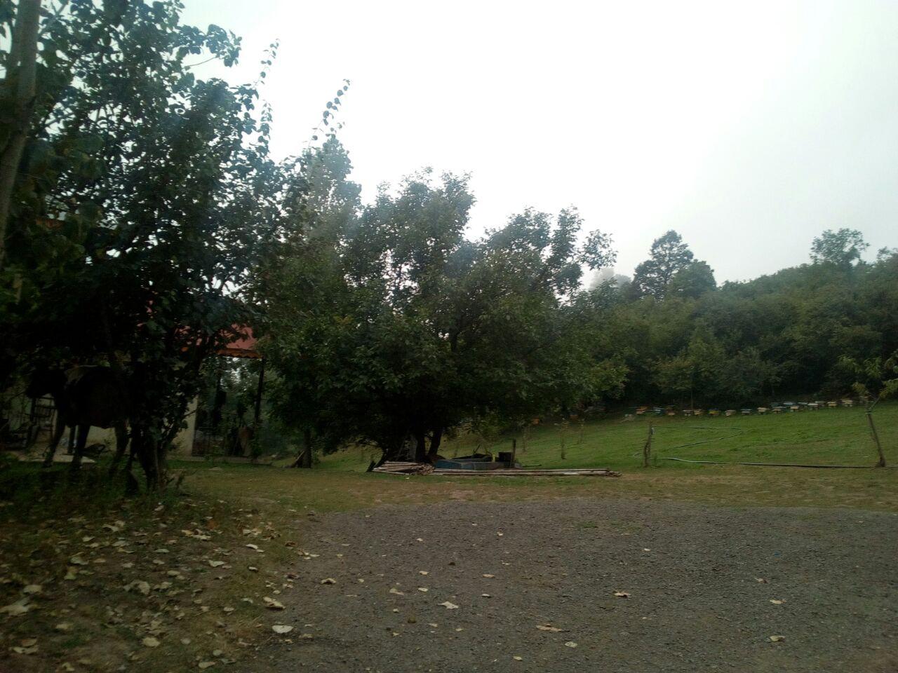 اجاره ویلا هشتپر جنگلی چهار خواب-ییلاق مریان