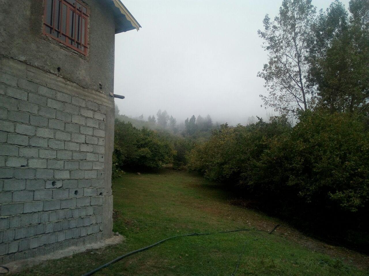 اجاره ویلا هشتپر جنگلی چهار خواب-ییلاق مریان