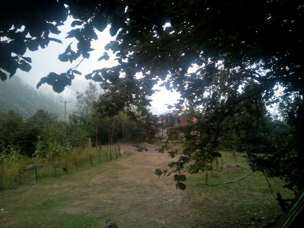 اجاره ویلا هشتپر جنگلی چهار خواب-ییلاق مریان