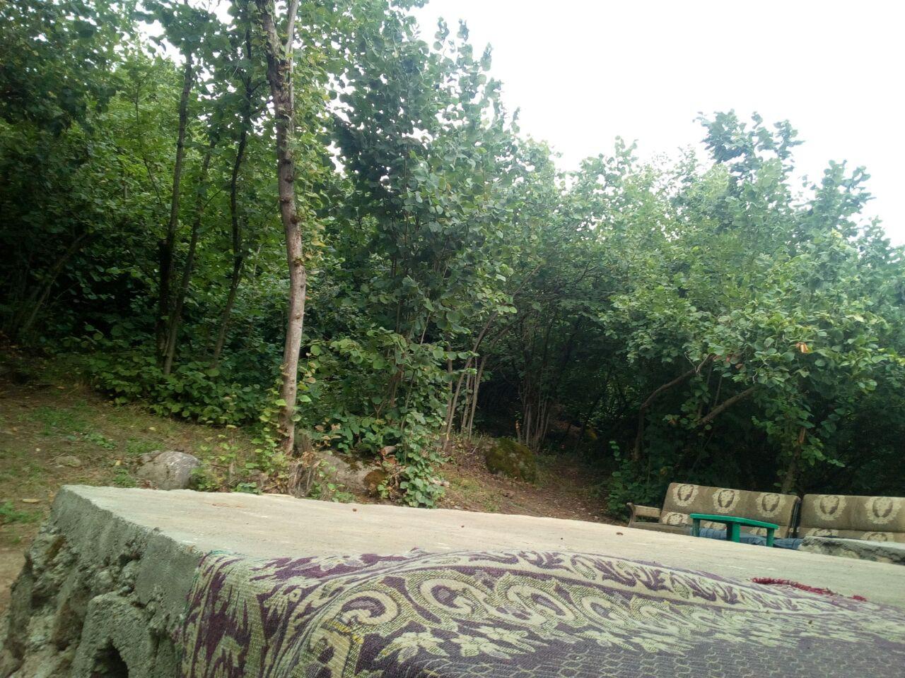 اجاره ویلا هشتپر جنگلی چهار خواب-ییلاق مریان