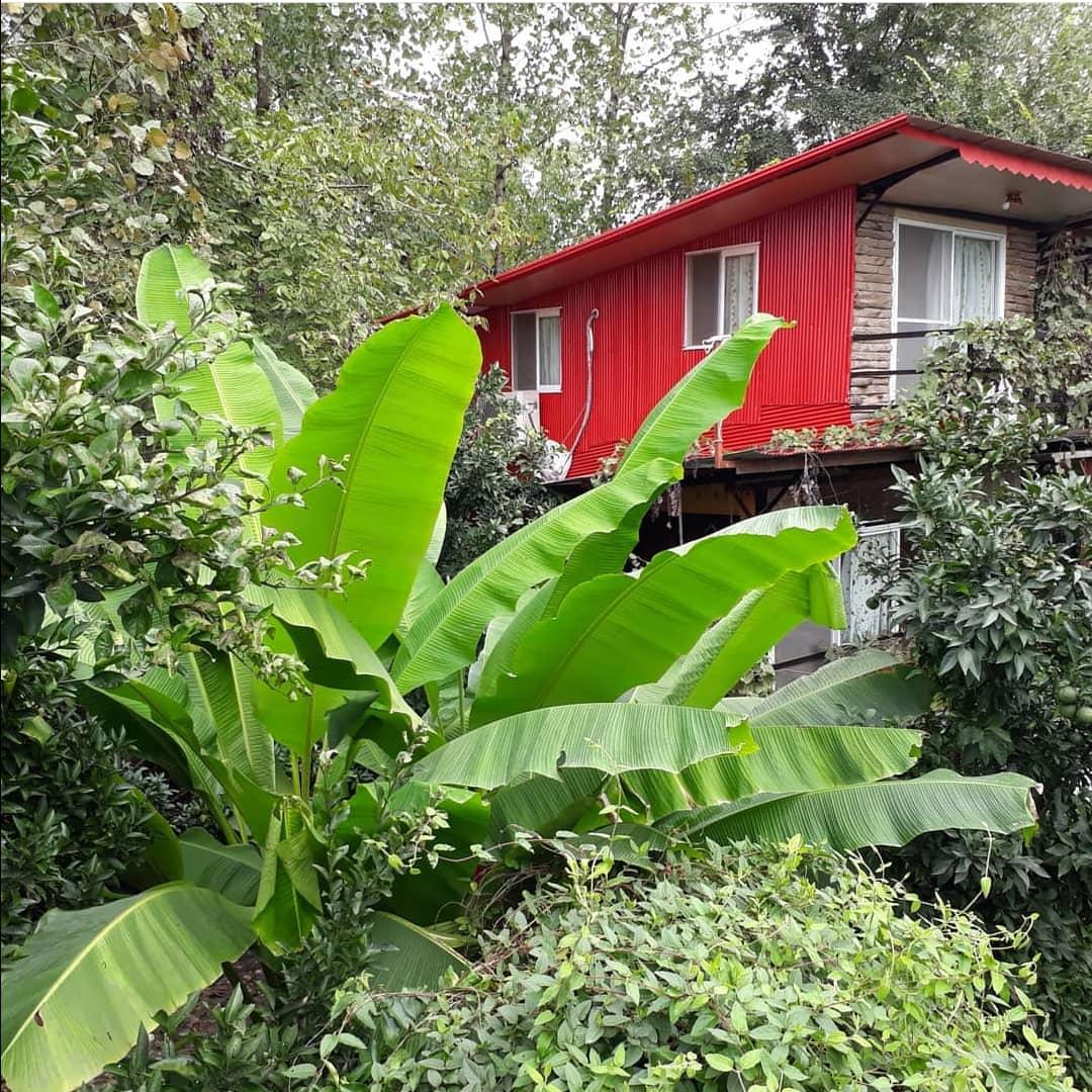 اجاره اقامتگاه بوم گردی بومیت در رشت