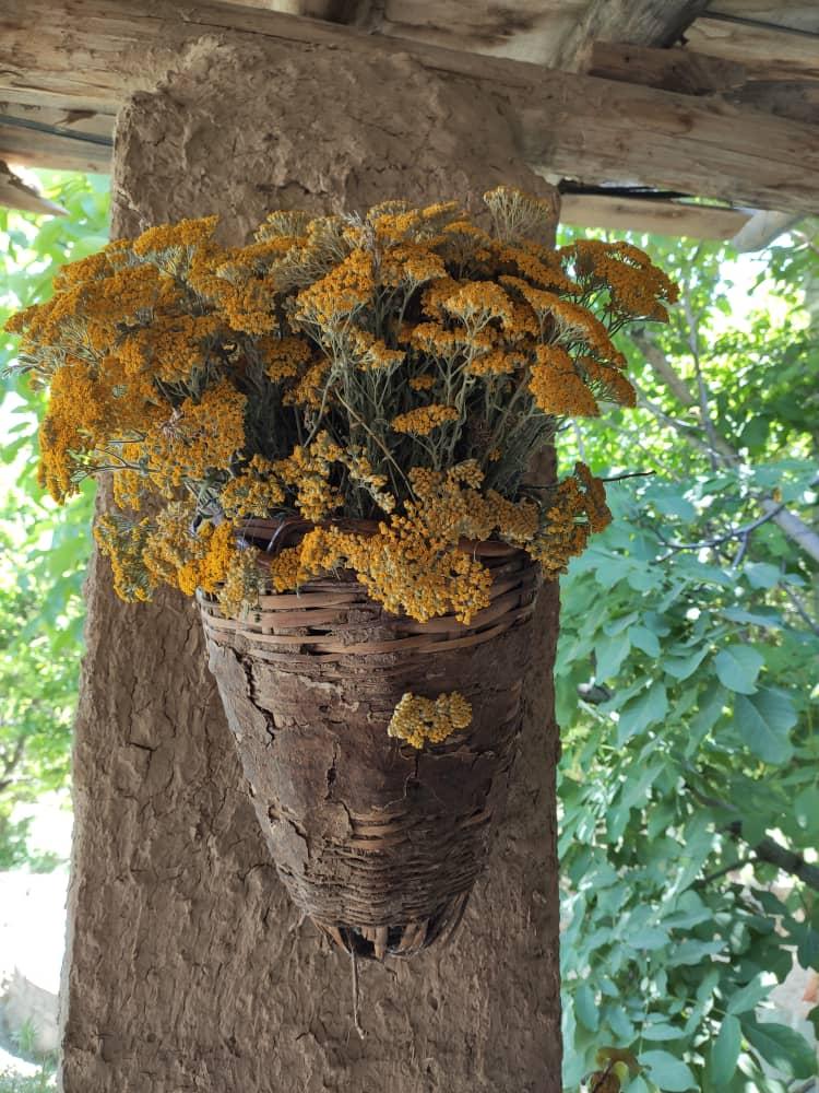 اجاره اقامتگاه بوم گردی باران در آزادشهر