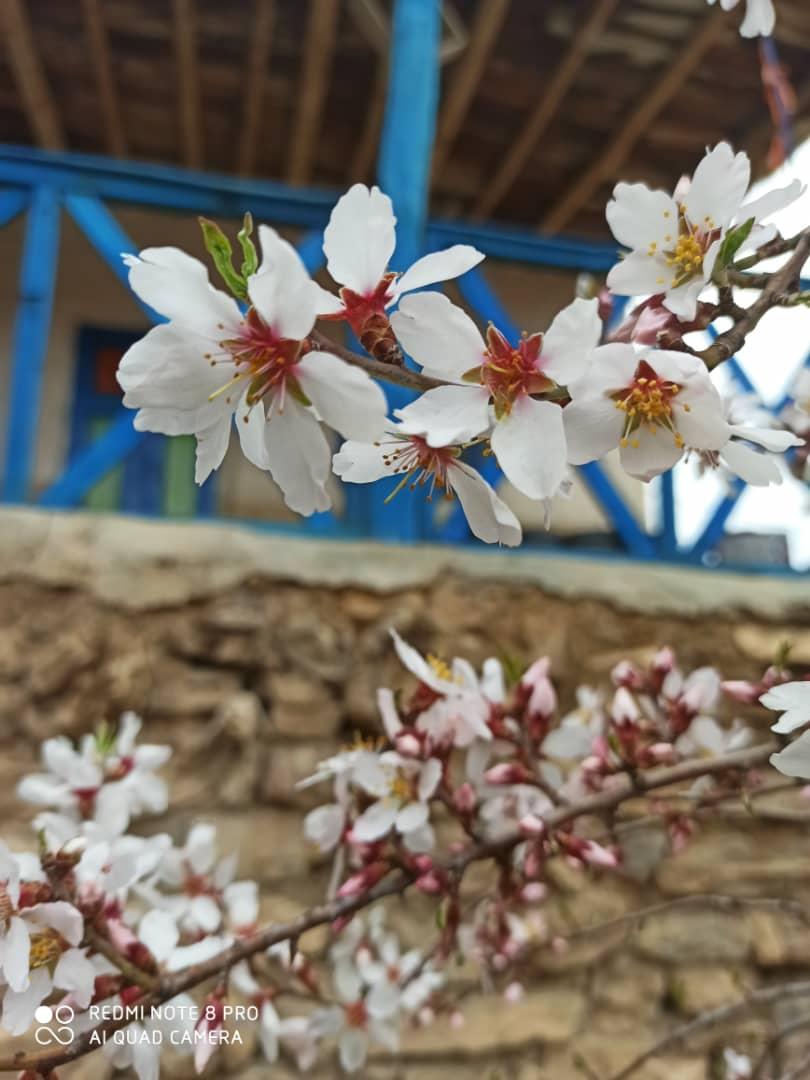 اجاره اقامتگاه بوم گردی باران در آزادشهر