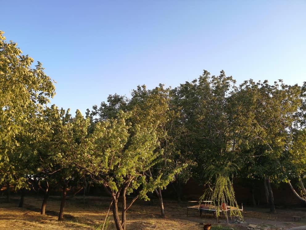 اجاره روزانه باغ ویلا در قزوین