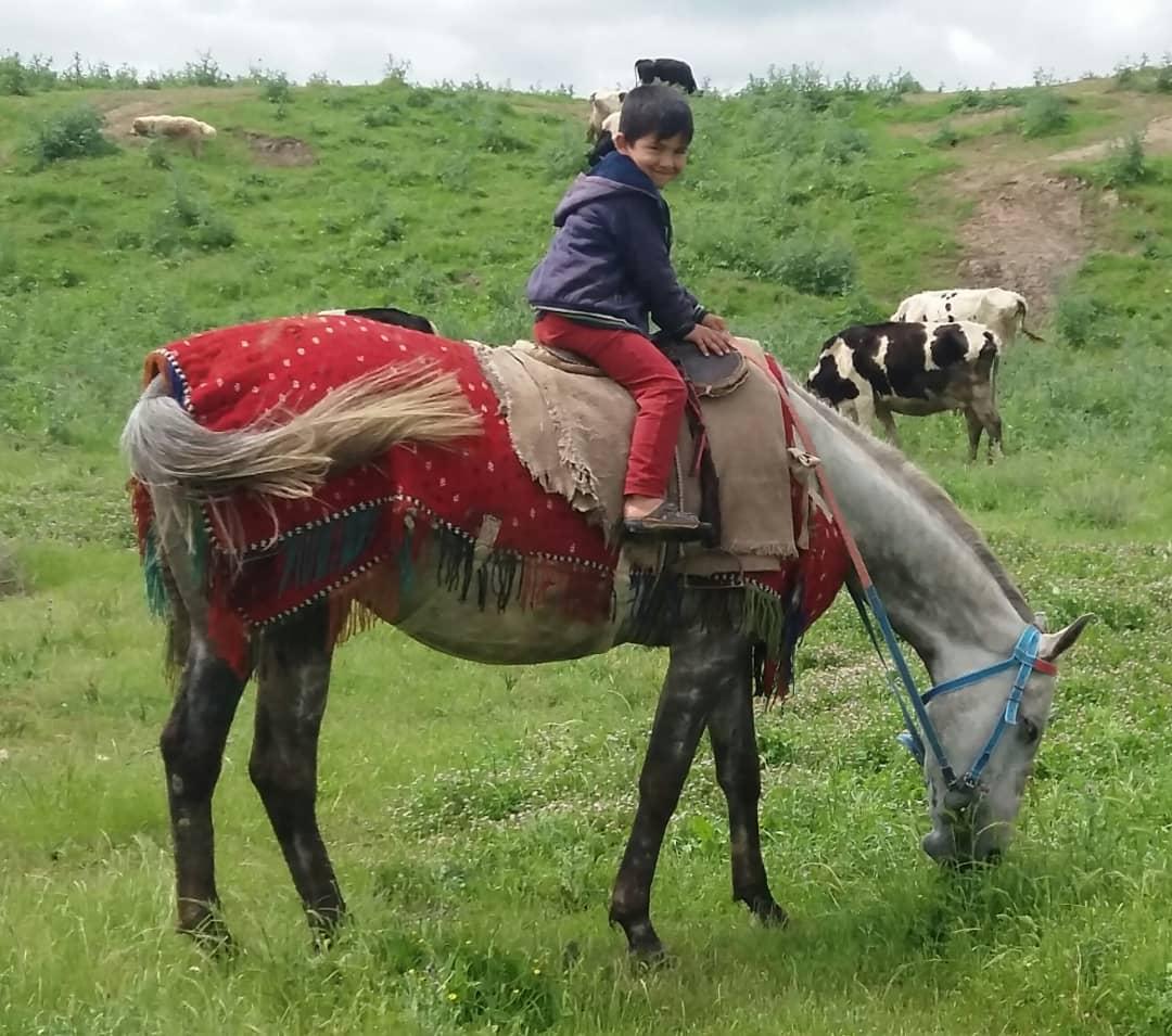 اجاره اقامتگاه بوم گردی اوغوزخان در گنبد کاووس