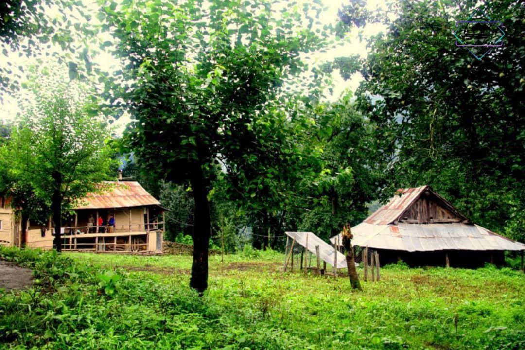 اجاره کلبه جنگلی روزانه در سوادکوه