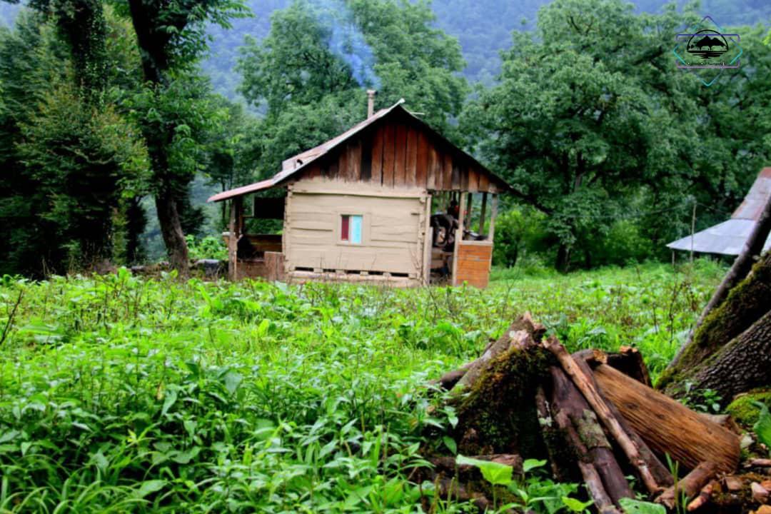 اجاره کلبه جنگلی روزانه در سوادکوه