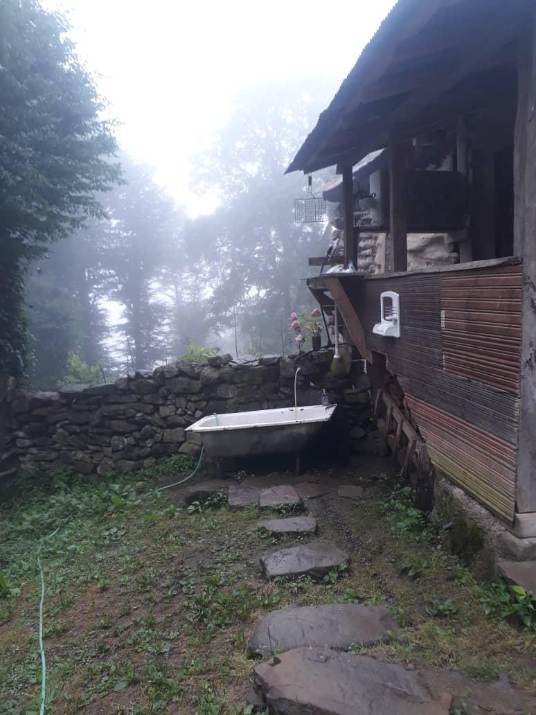 اجاره کلبه جنگلی روزانه در سوادکوه