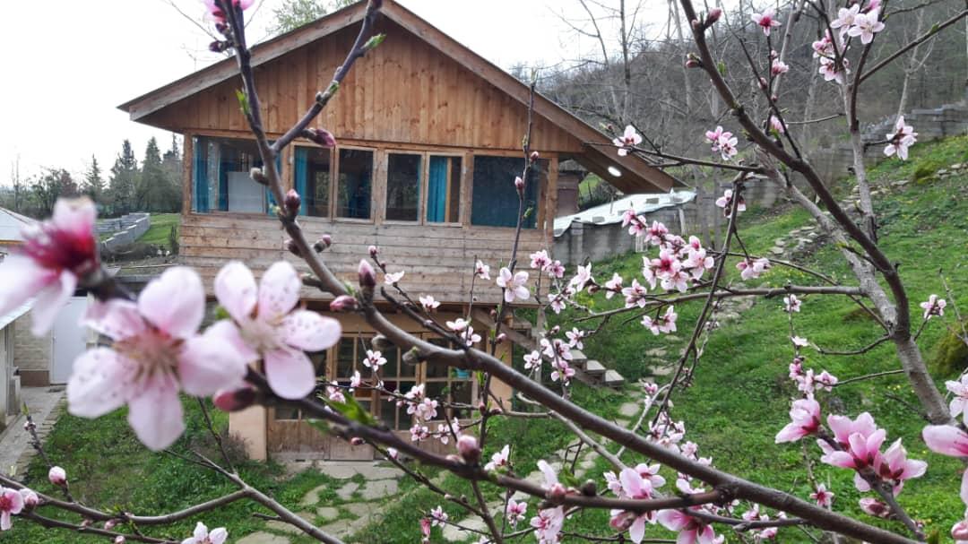 اجاره اقامتگاه بوم گردی کلبه چوبی در ماسال