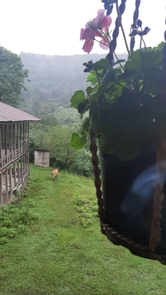 رزرو بوم گردی روخانکول در رودبار