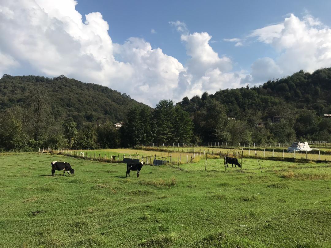 رزرو بوم گردی روخانکول در رودبار