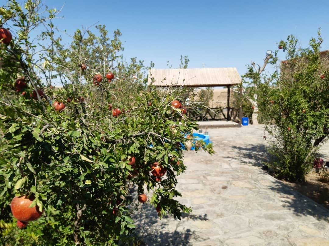 اجاره اقامتگاه بوم گردی مرسد در رشتخوار