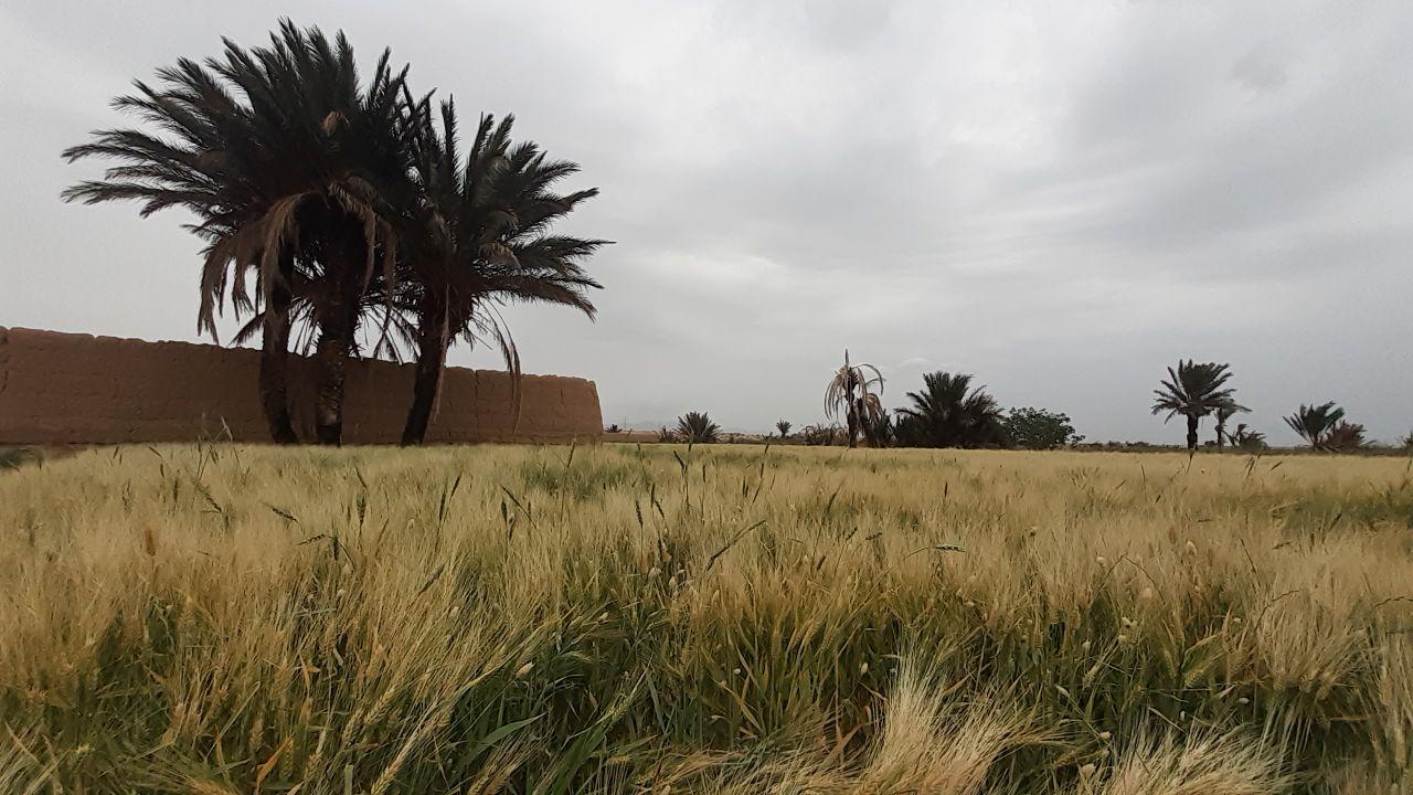 اجاره اقامتگاه بوم گردی انار عقدا در اردکان