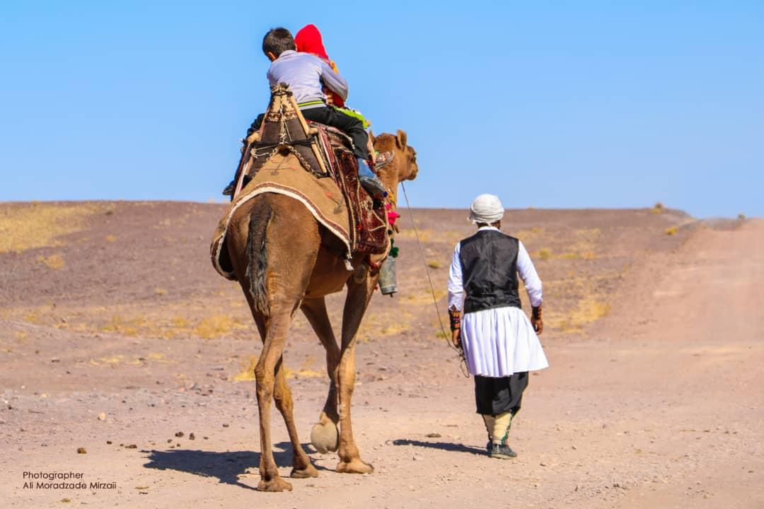 اجاره اقامتگاه بوم گردی در فردوس