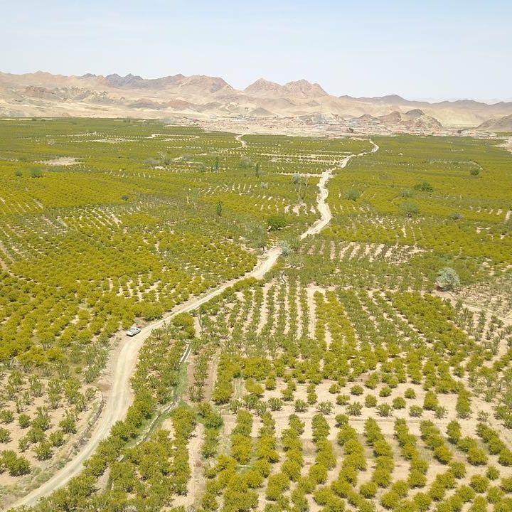 اجاره اقامتگاه بوم گردی در زیرکوه