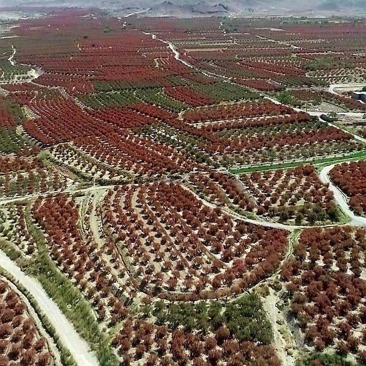 اجاره اقامتگاه بوم گردی در زیرکوه