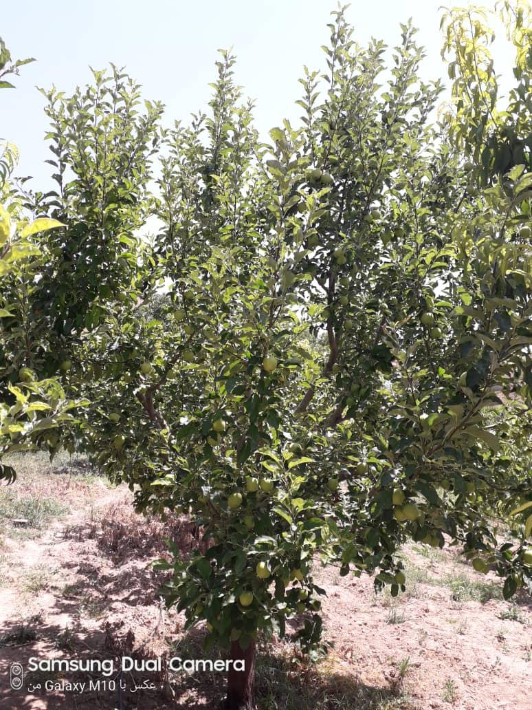 اجاره اقامتگاه بوم گردی میشاند در مرند