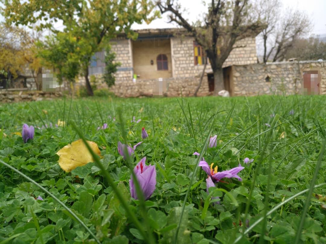 اجاره اقامتگاه بوم گردی قلعه سرد در ایذه