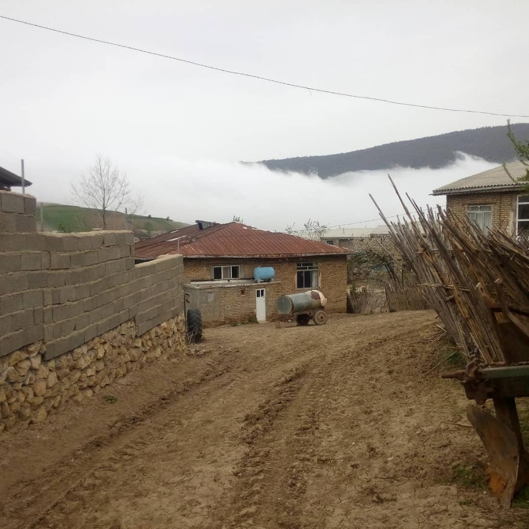 اجاره اقامتگاه بوم گردی در میامی