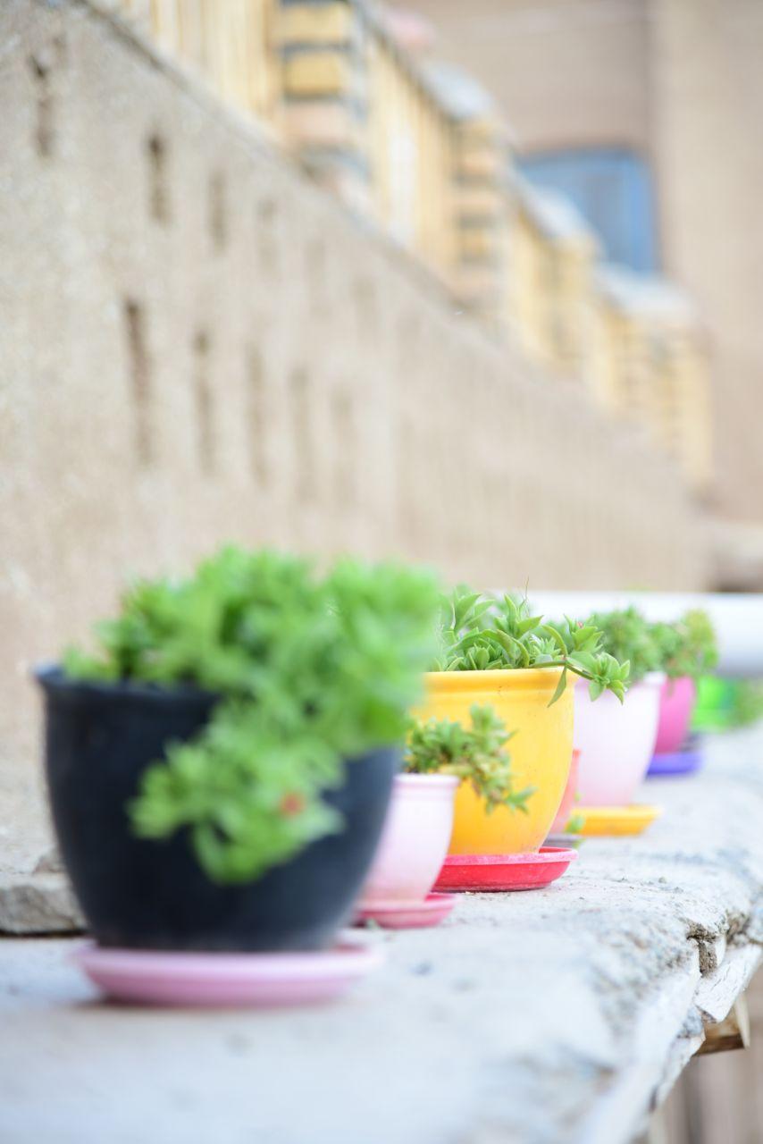 اقامتگاه بوم گردی بی بی لعبا در ریوش