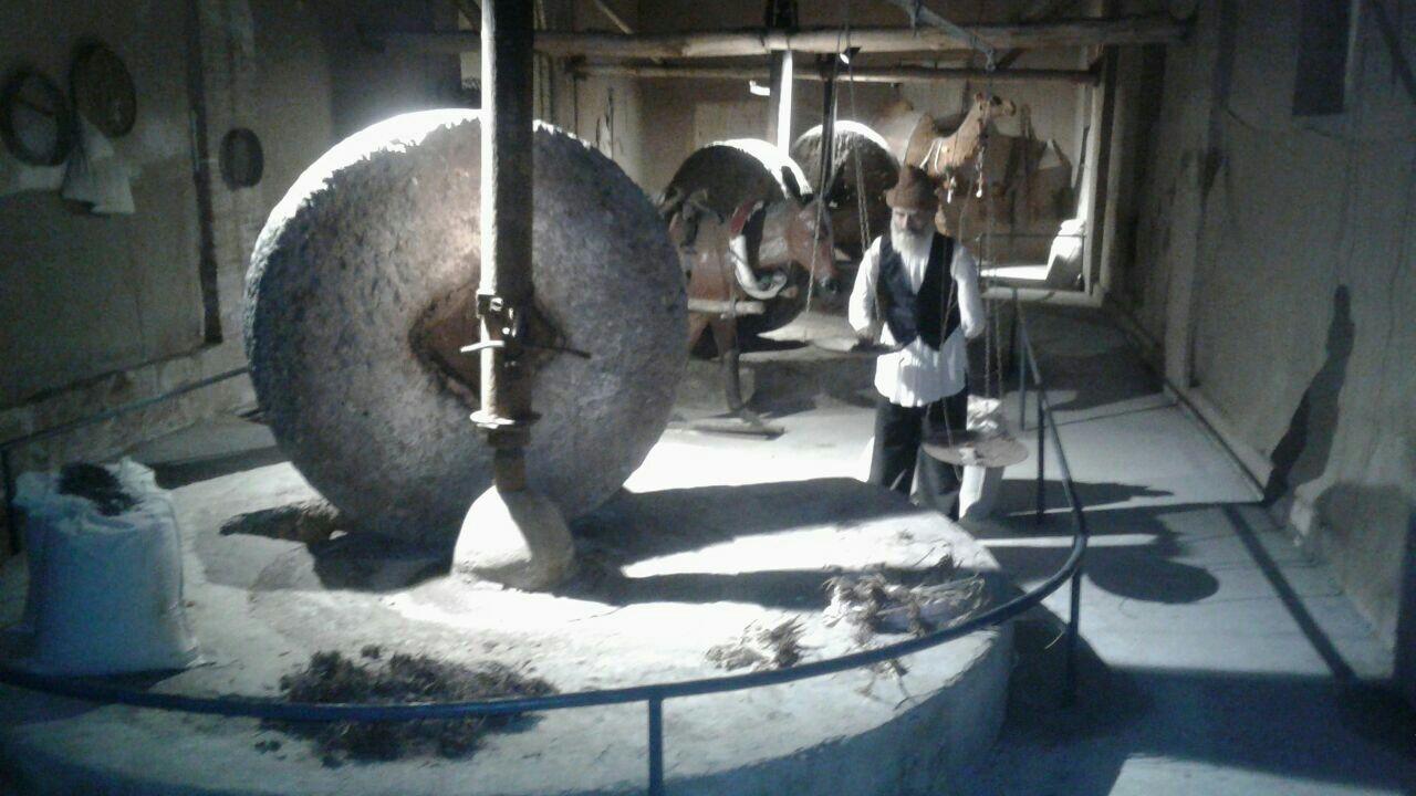 اجاره اقامتگاه بوم گردی تهمینه در تربت حیدریه