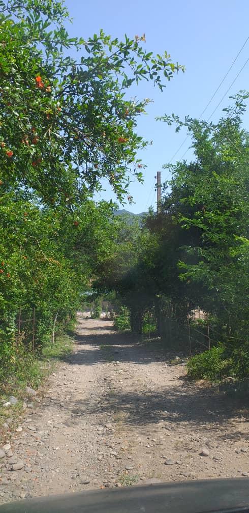 اجاره اقامتگاه بوم گردی آرام باران در رودبار