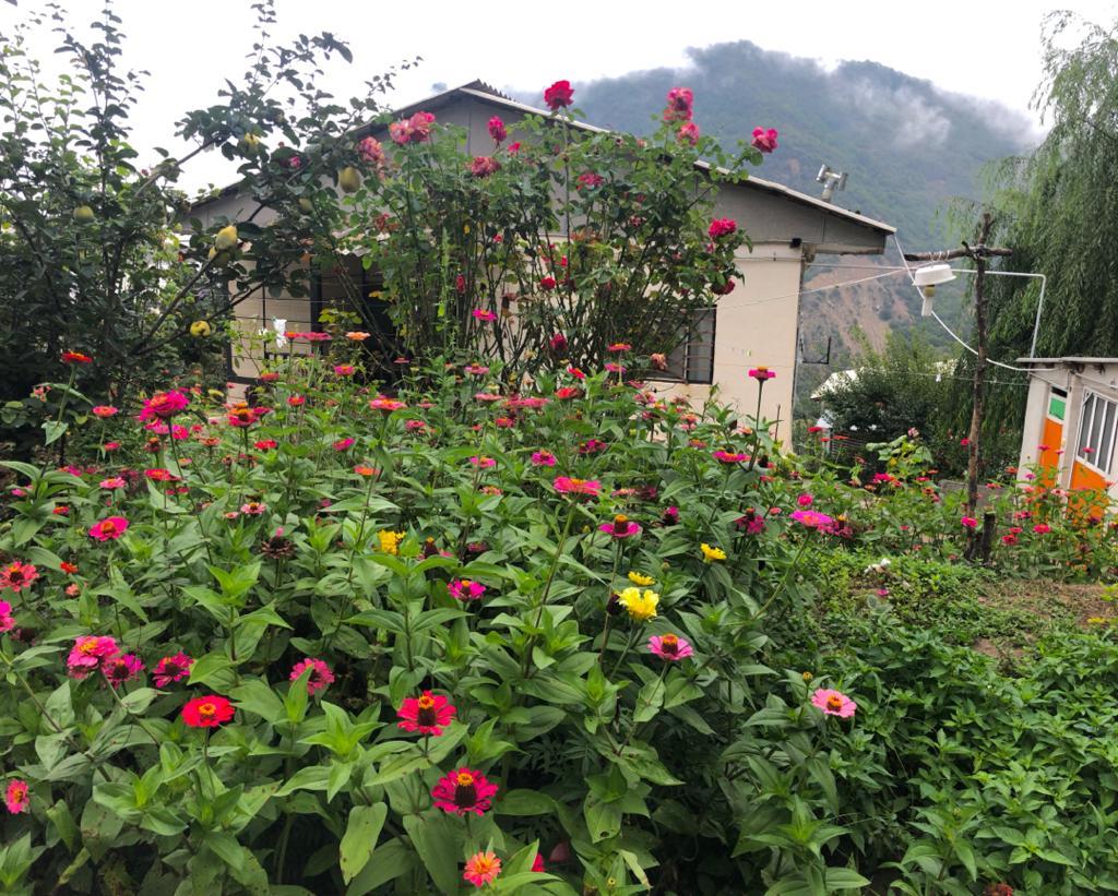 کلبه اقامتی بالاکایلو در علی آباد کتول