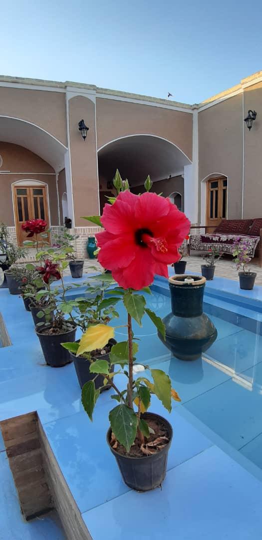 اجاره اقامتگاه بوم گردی ننه کلثوم در ابوزید آباد