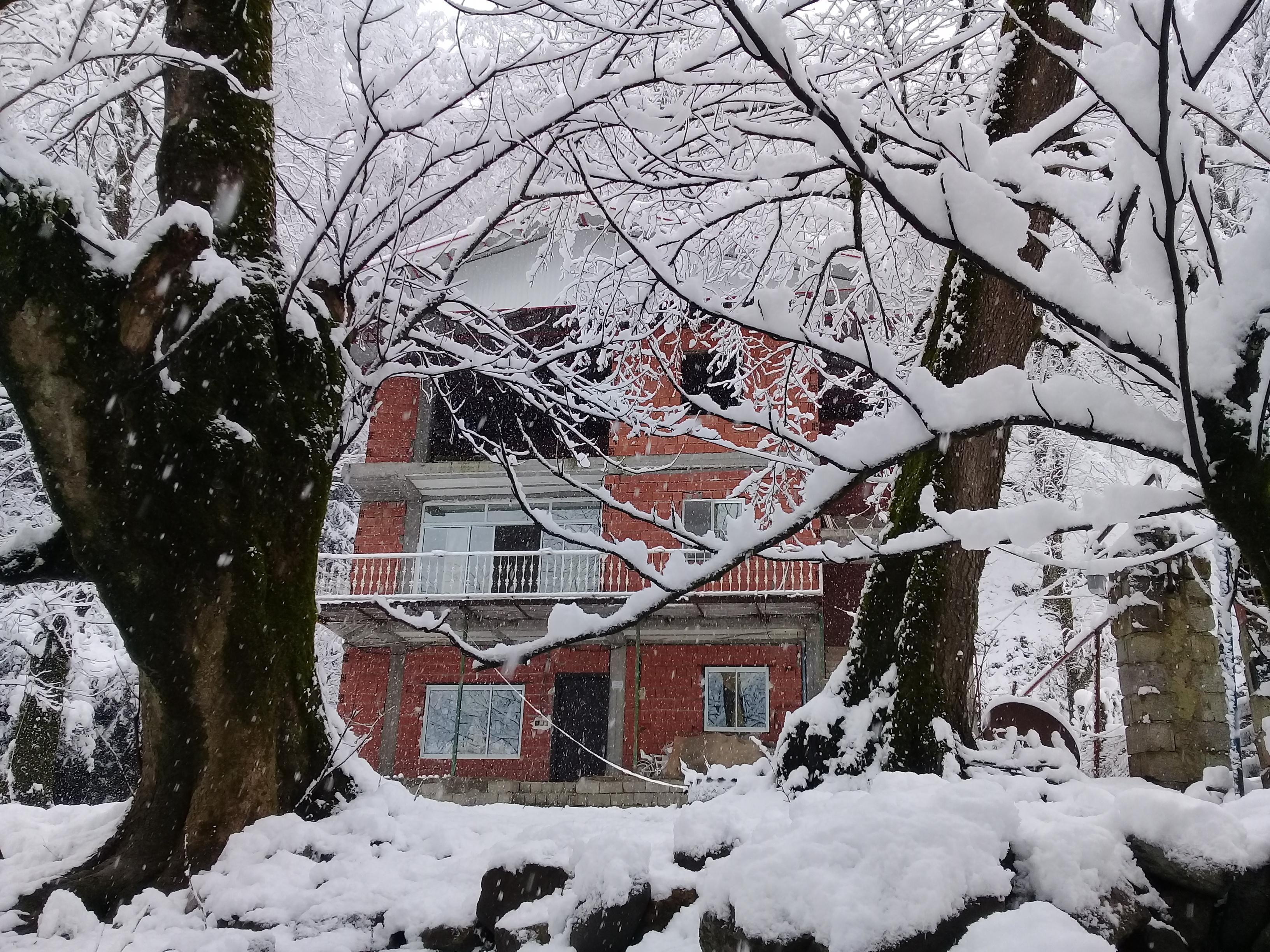 ویلا جنگلی لب رودخونه در اسالم3خواب تراس دار