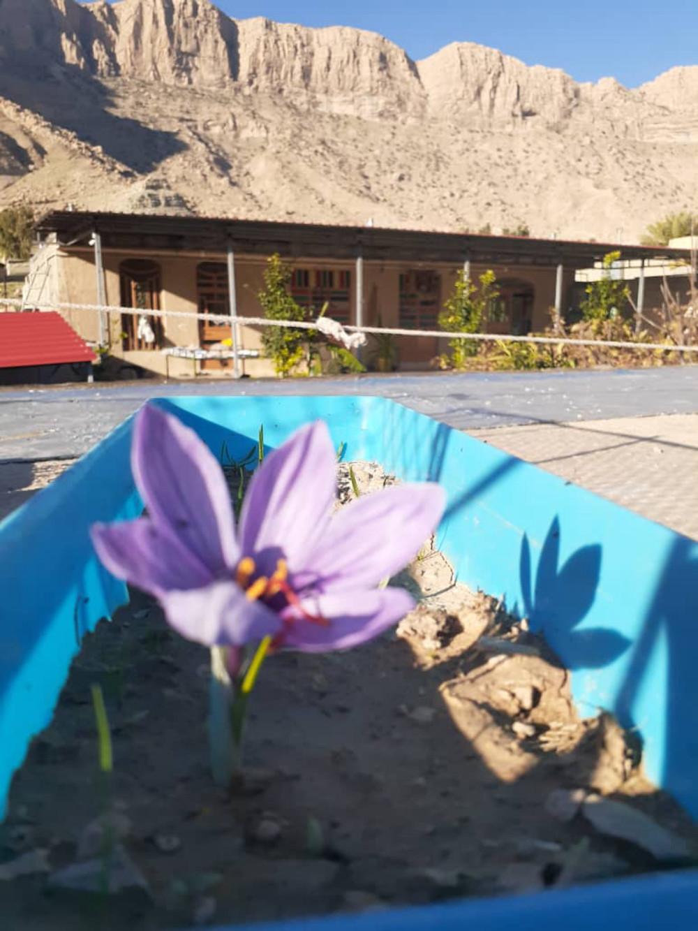 اقامتگاه بوم گردی حجار تنگ نیشابور