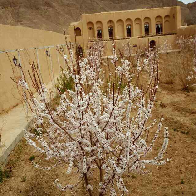 اقامتگاه بوم گردی خانه محمدخان آباده