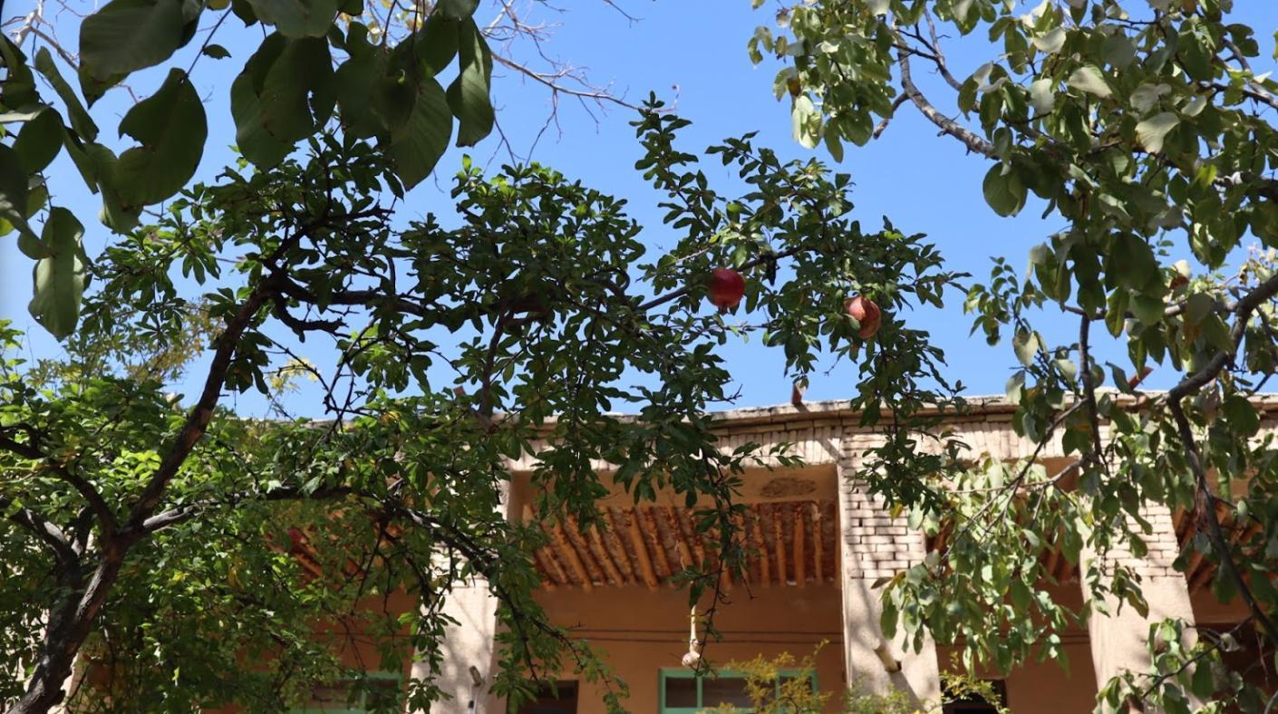 اجاره اقامتگاه بوم گردی مش ماشالا در مرودشت