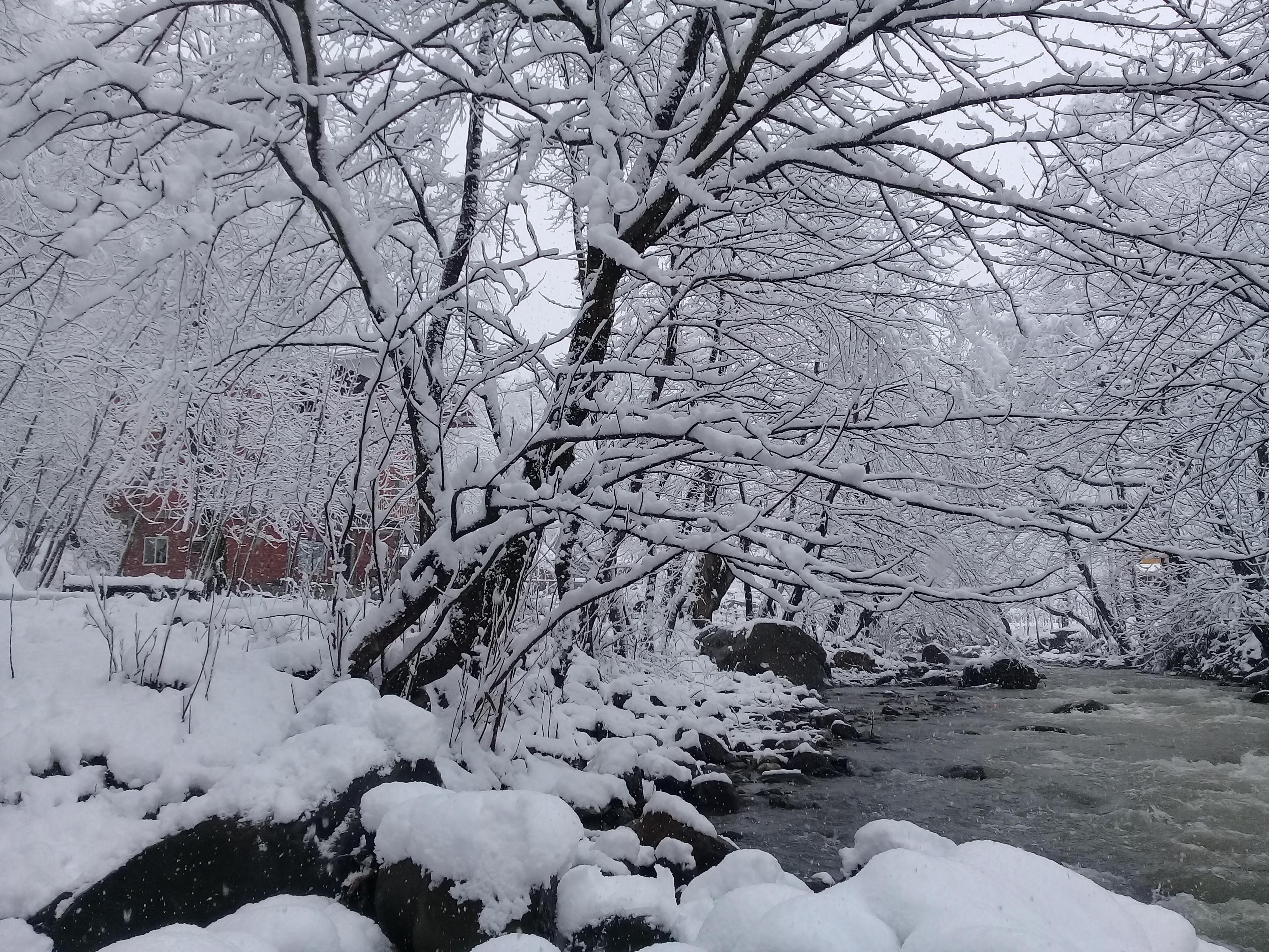 خانه اجاره ای در جاده اسالم به خلخال دوخواب